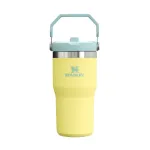 Stanley IceFlow Flip Straw Tumbler 0.59L – Pomelo