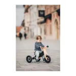FreeOn Trcycle and balance bike 2in1, Rider plus black