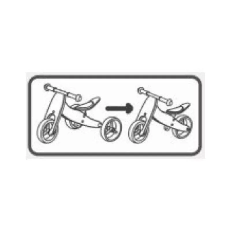 FreeOn Trcycle and balance bike 2in1, Rider plus black