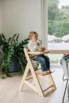 FreeOn High chair Toby Plus