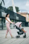 FreeOn Stroller Lux Premium grey/black