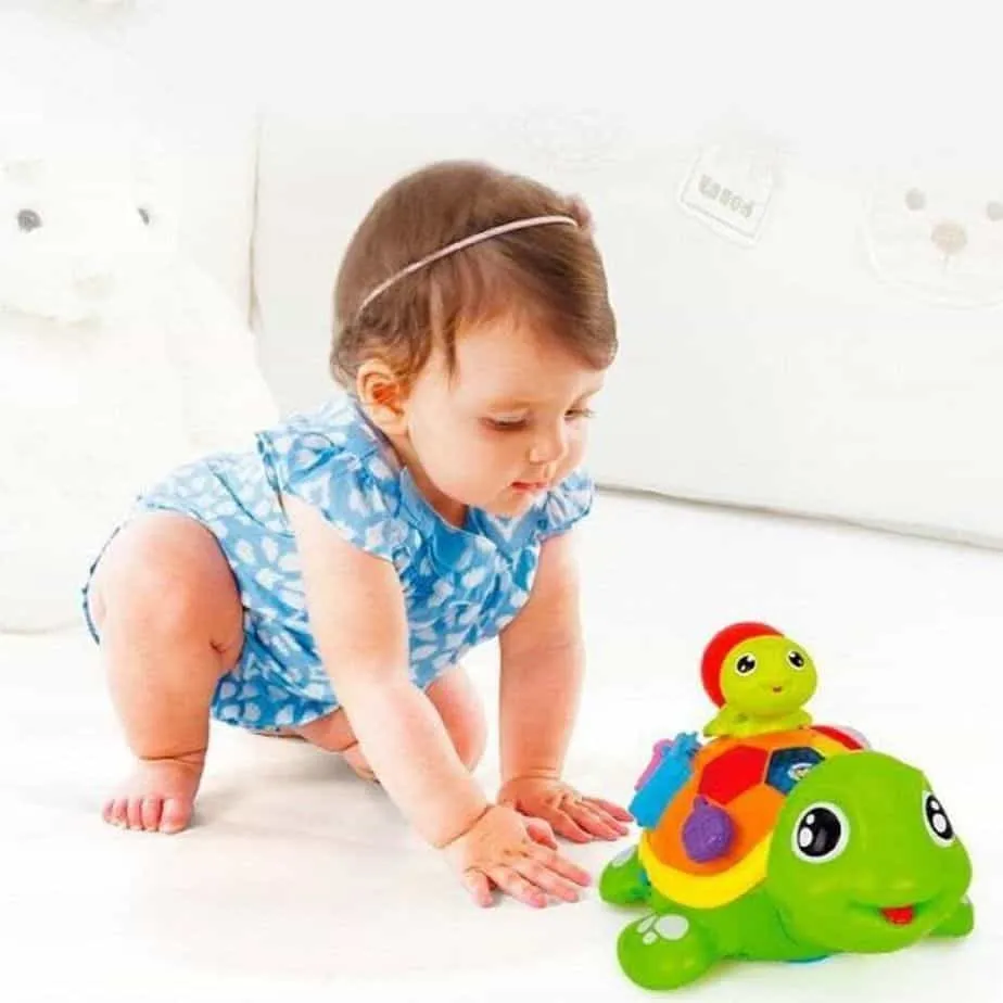 Hola Interactive Turtle