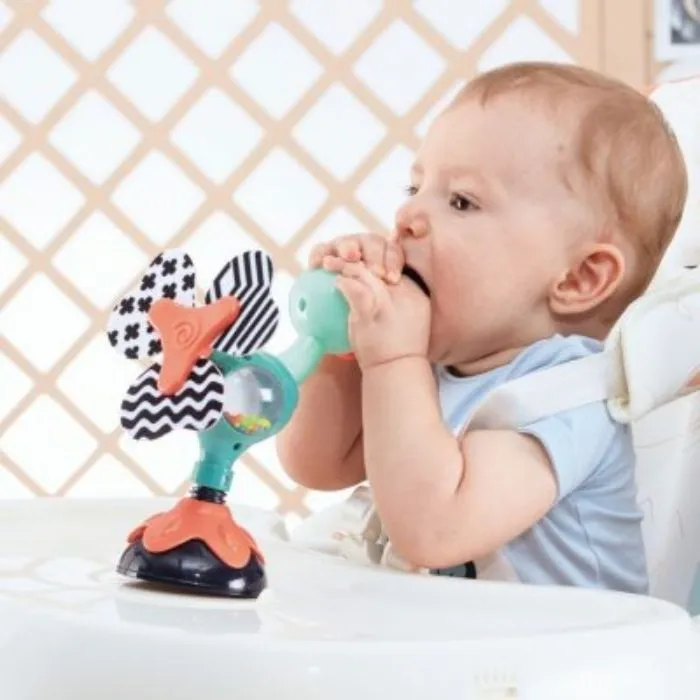 Hola Cute Peacock Highchair Toy