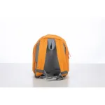FreeOn Little explorer Lion kindergarten bag