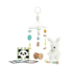 Classic Wolrd Toys Hello Box 0M+