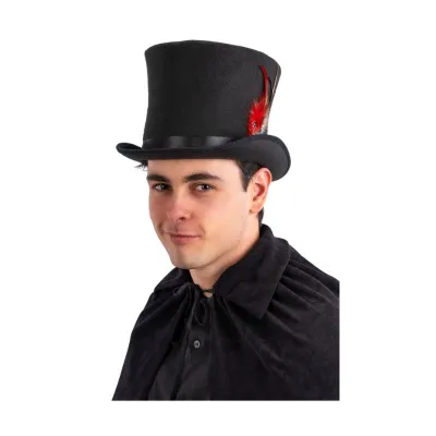 Woollen felt top hat (size.60) with feathers