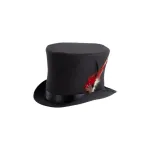 Woollen felt top hat (size.60) with feathers