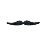 Dali Moustache