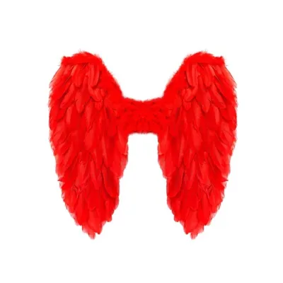 Foldable Feather Wings 50x50cm