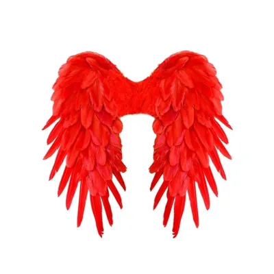 Foldable Feather Wings 50x50cm