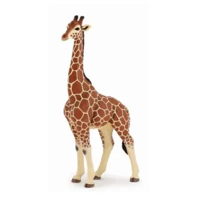 Papo - Giraffe male