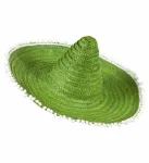 Green Sombrero with Poms Poms