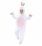 PLUSH BUNNY