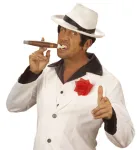 CIGAR