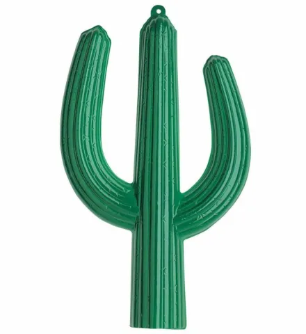 3D CACTUS