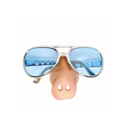 Glasses with Pig Nose