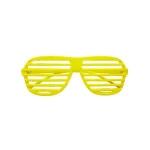 Shutter Glasses