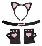 CAT SET