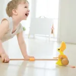 Push Duck