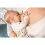 Medela Contact Nipple Shields Size L