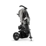 QPlay Rito Star Tricycle