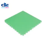 Eva Floor Mats Puzzle 100L x 100W x 2cm (1pc)