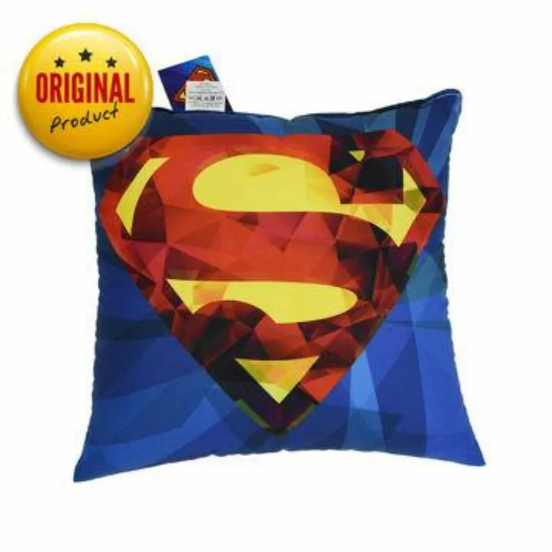 Warner Bros Decorative Pillow 