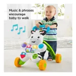 Fisher Price Learn with me Zebra Walker