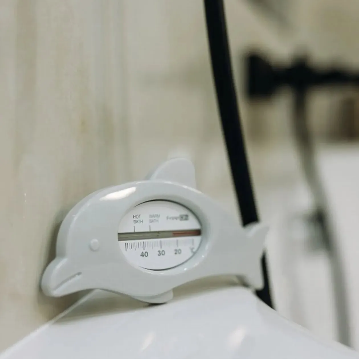 FreeON Bath Thermomether Dolphin
