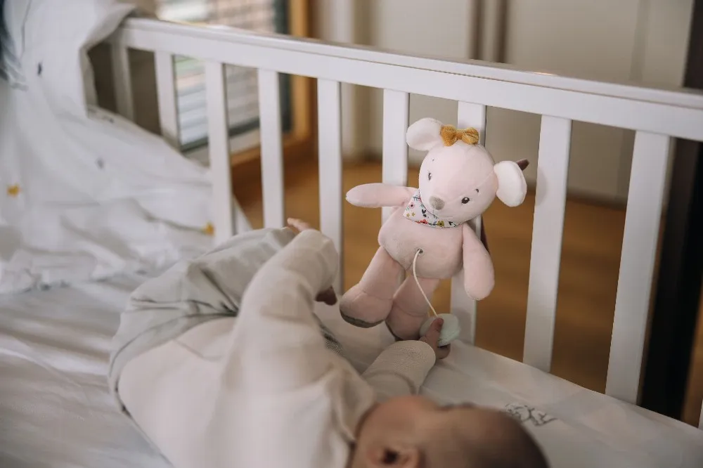 Free2Play Max the Bear plush pull toy