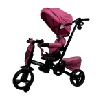 3 in 1 – TrikeStar Tricycle (332) for Kids - Pink