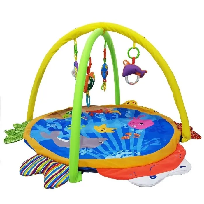 Baby playgym and Mat