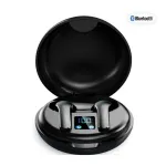 Bluetooth True Wireless Earbuds with Charging Case - Black