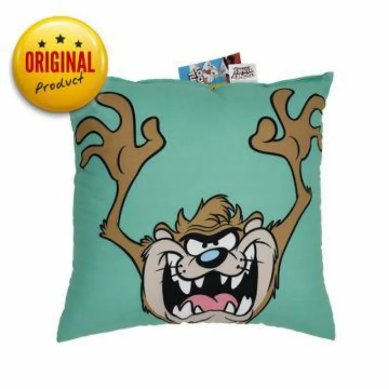 Warner Bros Decorative Pillow 