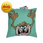 Warner Bros Decorative Pillow 