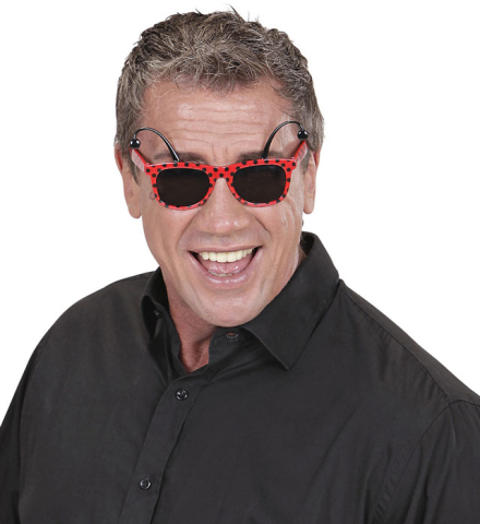 LADYBUG GLASSES WITH ANTENNAS
