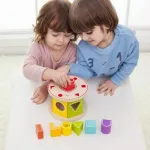 Love Shape Sorter
