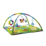 Kids Hits Activity Gym Happy Farm
