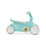 Berg Go2 2 In 1 Push And Pedal