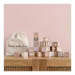 Classic World Toys Iris Blocks
