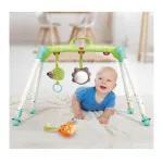 Hola Portable Baby Gym