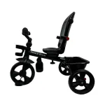 3 in 1 – TrikeStar Tricycle (363) for Kids – Jean