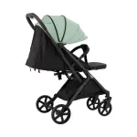 FreeOn stroller Tao