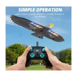 R/C Eagle