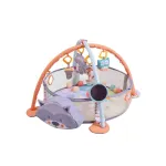 Bebestars Gym – Playpen Squirrel